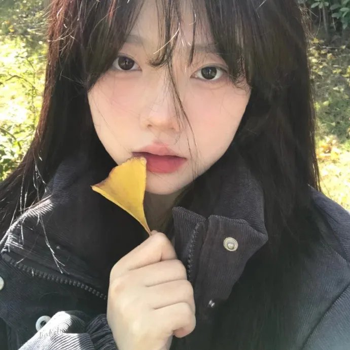 感恩时节