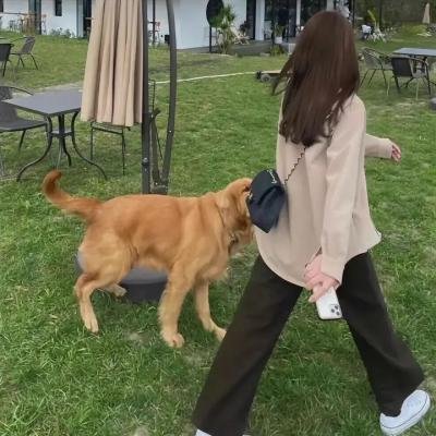 逃劳三兄弟